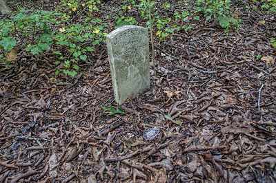 Silver Bluff Plantation Slave Cemetery Gravestone - Aiken County, South Carolina