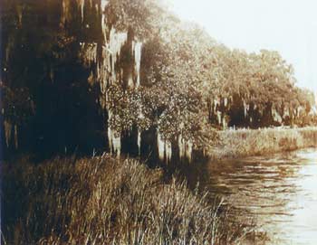 Bidon Plantation - Beaufort County, South Carolina