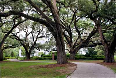 Bonny Hall Plantation Drive - Beaufort County, South Carolina
