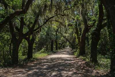 Coffin Point Plantation - Beaufort County, South Carolina