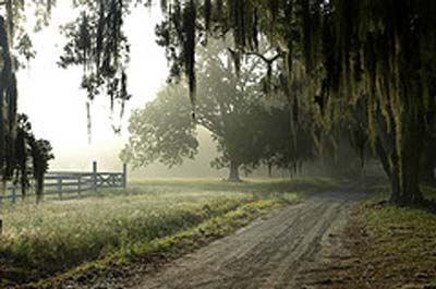 Coosaw Plantation Misty Road 2007 - Beaufort County, South Carolina