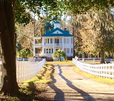 Pick Pocket Plantation 2016 - Beaufrot County, South Carolina