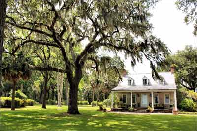 Yard at Retreat Plantation - Beaufort County, South Carolina
