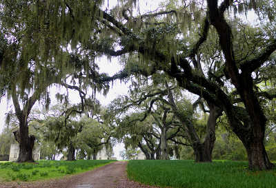 Spring Island Plantation 2013 - Beaufort County, South Carolina