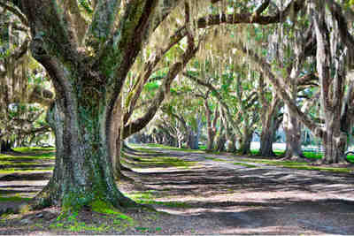 Tomotley Plantation - Beaufort County, South Carolina