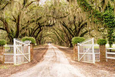 Tomotley Plantation Drive 2014 - Beaufort County, South Carolina