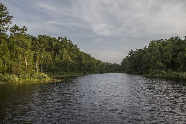 Brick Hope / Marrington Plantation Riverview 2016 - Berkeley County, South Carolina