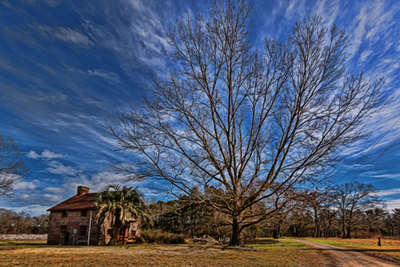 Brick House Plantation 2016 - Berkeley County, South Carolina