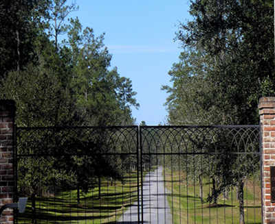 Cedar Hill Plantation 2013 - Berkeley County, South Carolina