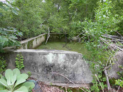 Comingtee Plantation Cistern 2014 - Berkeley County, South Carolina
