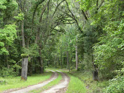 Comingtee Plantation Entrance 2014 - Berkeley County, South Carolina