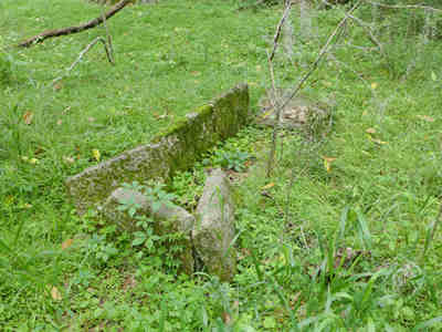 Comingtee Plantation Grave 2014 - Berkeley County, South Carolina