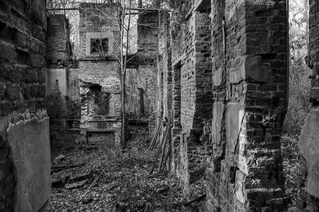 Comingtee Plantation Ruins Interior 2016 - Berkeley County, South Carolina