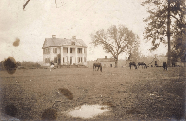 Gippy Plantation - Berkeley County, South Carolina