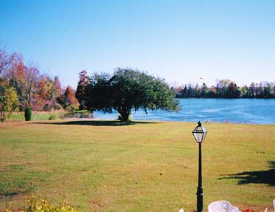 Lewisfield Plantation Yard - Berkeley County, South Carolina