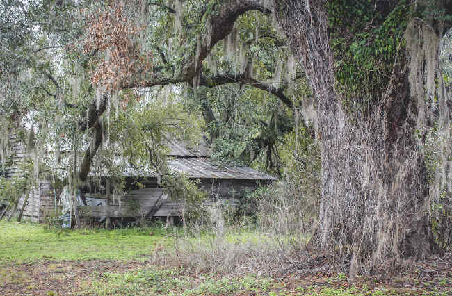 Loch Dhu Plantation Barn 2017 - Berkeley County, South Carolina