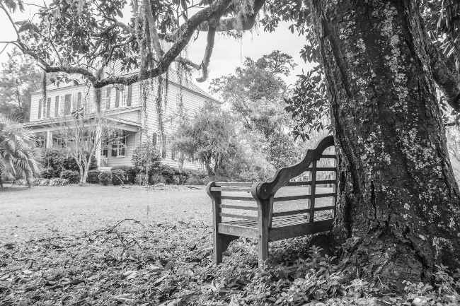 Loch Dhu Plantation 2017 - Berkeley County, South Carolina
