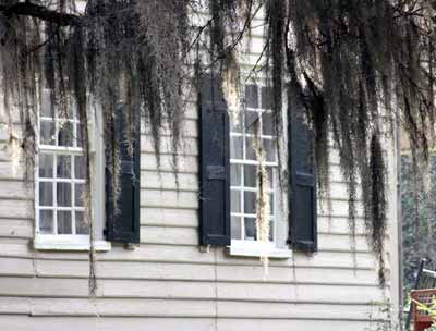 Loch Dhu Plantation Moss Flanded Window 2009 - McCormick County, South Carolina