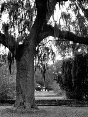 Mepkin Plantation - Berkeley County, South Carolina