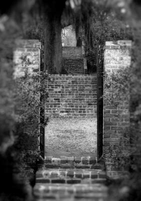 Mepkin Plantation Walkway - Berkeley County, South Carolina