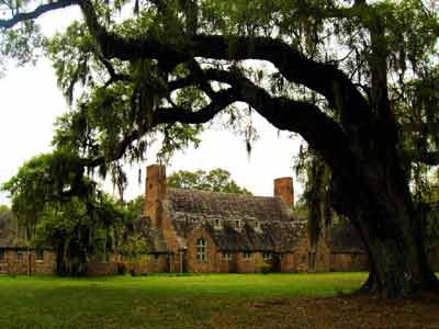 Richmond Plantation 2008 - Berkeley County, South Carolina
