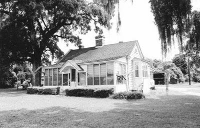 Strawberry Plantation - Berkeley County, South Carolina
