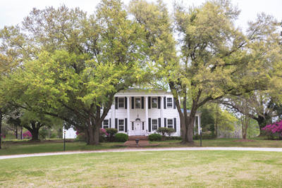 Tower Hill Plantation 2016 - Berkeley County, South Carolina