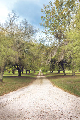 Tower Hill Plantation Oak Avenue 2016 - Berkeley County, South Carolina