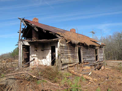Oak Grove Plantation 2015 - Calhoun County, South Carolina