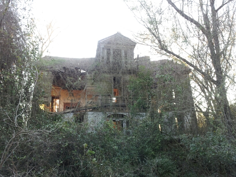 Zante Plantation 2013 - Calhoun County, South Carolina