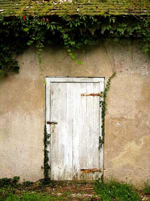 Bleak Hall Plantation Door - Charleston County, South Carolina