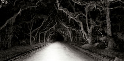 Bleak Hall Plantation Road 2008 - Charleston County, South Carolina