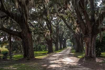Brick House Plantation Oak Avenue 2014 - Charleston County, South Carolina