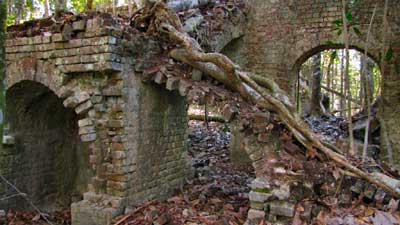 Edorado Plantation 2011 - Charleston County, South Carolina