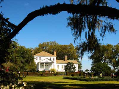 Harrietta Plantation Yard 2009 - Charleston County, South Carolina