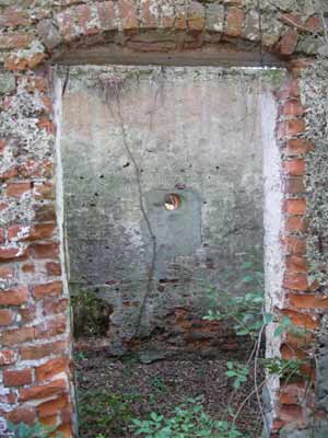 Long Point Plantation Smokehouse/Icehouse 2010 - Charleston County, South Carolina