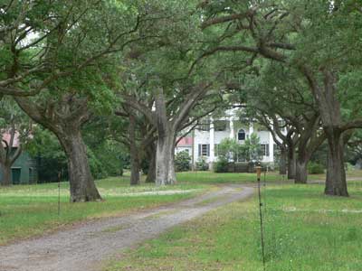 McLeod Plantation - Charleston County, South Carolina