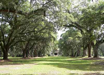 Oak Lawn Plantation Oak Avenue - Charleston County, South Carolina