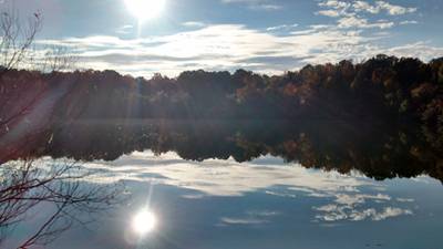 Oakland Plantation Pond 2015 - Charleston County, South Carolina
