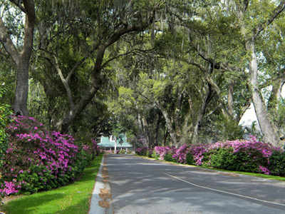 Schieveling Plantation 2014 - Charleston County, South Carolina