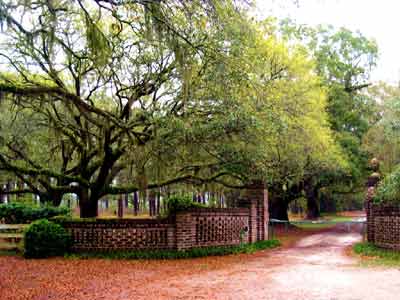 Seabrook Plantation Gate March 2008 - Charleston County, South Carolina