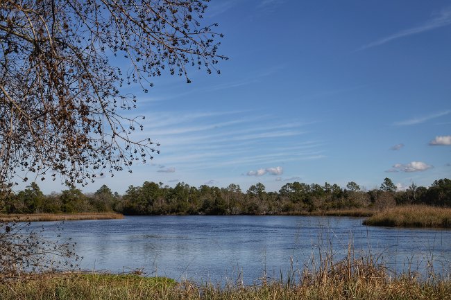 Mateeba Gardens at Wragg Plantation 2017 - Charleston County, South Carolina