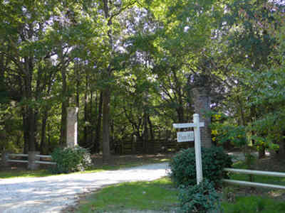 Plum Hill of Bluff Plantation 2013 - Colleton County, South Carolina