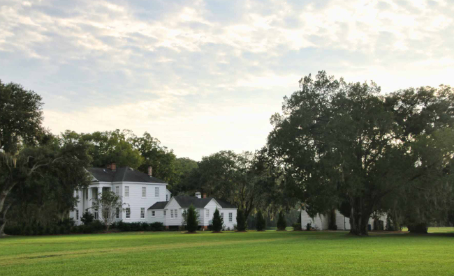 Hope Plantation 2016 - Sumter County, South Carolina