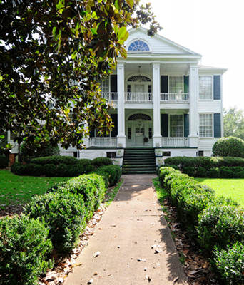 Davis Plantation 2012 - Fairfield County, South Carolina
