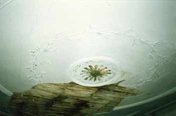 Fairview Plantation Drawing Roon in 1980 - Fairfield County, South Carolina