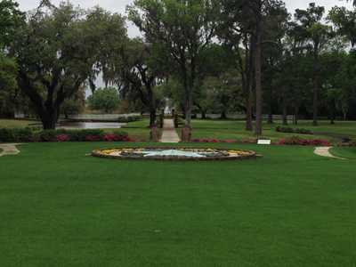 Arcadia Plantation Pond 2015 - Georgetown County, South Carolina