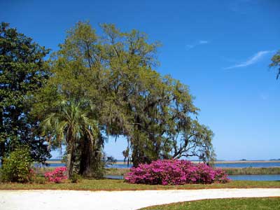 Estherville Plantation River View 2009 - Georgetown County, South Carolina