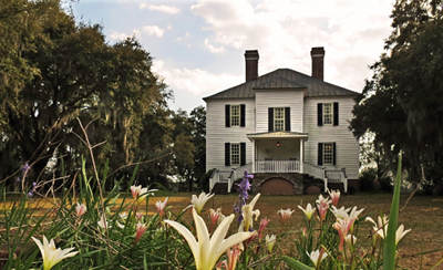 Hopsewee Plantation Rear 2016 - Georgetown County, South Carolina