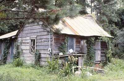 Keithfield Plantation Slave Cabin 1987 - Georgetown County, South Carolina